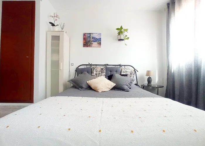 Estudio Paz * Lloret de Mar