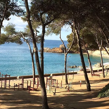 Estudio Paz Lloret de Mar