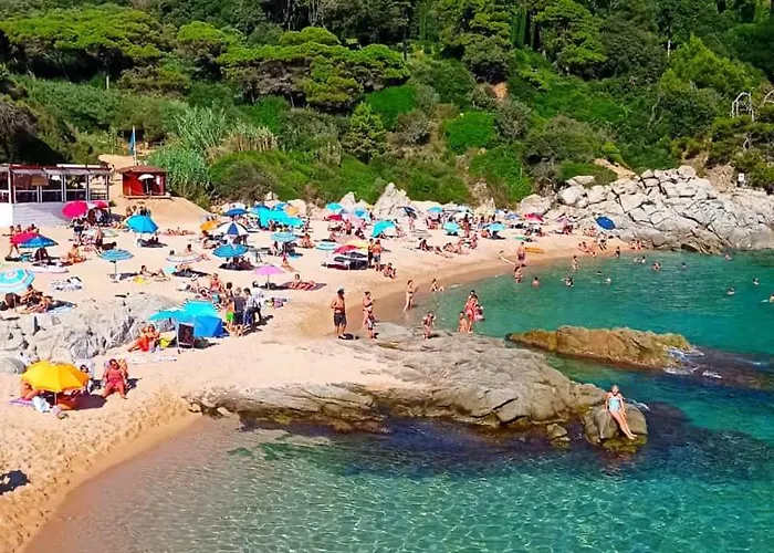 Estudio Paz Lloret de Mar